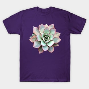 White Rose Echeveria T-Shirt